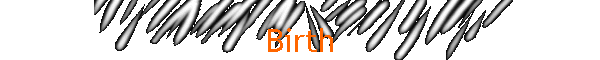 Birth