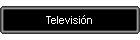 Televisin
