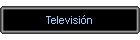 Televisin