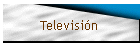 Televisin