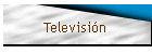 Televisi�n