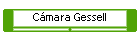 Cmara Gessell