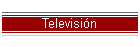 Televisi�n