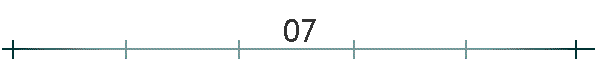 07