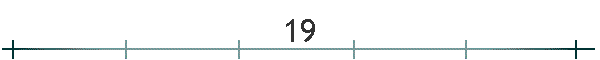 19