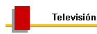 Televisin