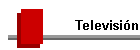 Televisin