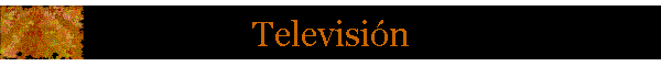 Televisi�n