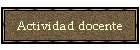 Actividad docente