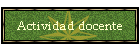 Actividad docente