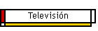 Televisi�n