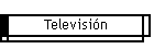 Televisi�n