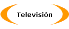Televisi�n