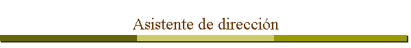 Asistente de direcci�n