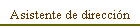 Asistente de direcci�n