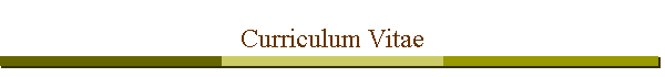Curriculum Vitae