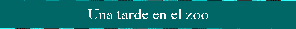Una tarde en el zoo