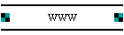 WWW