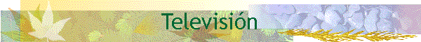 Televisi�n
