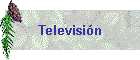 Televisi�n