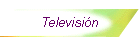 Televisi�n