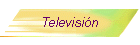 Televisi�n