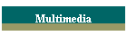 Multimedia