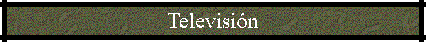 Televisi�n