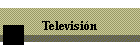Televisi�n