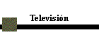 Televisi�n