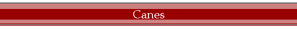 Canes