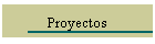 Proyectos