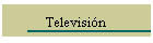 Televisi�n