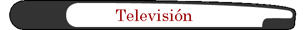 Televisi�n