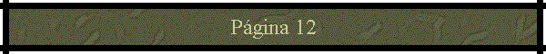 P�gina 12
