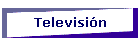 Televisi�n