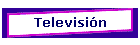 Televisi�n