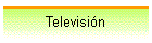 Televisi�n