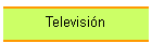 Televisi�n