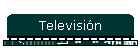 Televisi�n