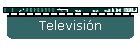 Televisi�n