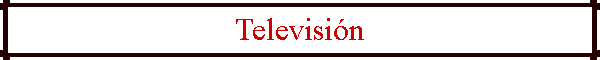 Televisi�n