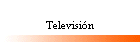 Televisi�n