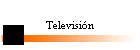 Televisi�n