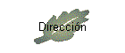 Direcci�n