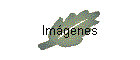 Im�genes