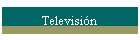 Televisi�n