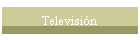 Televisi�n