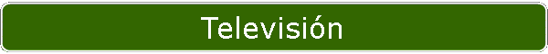 Televisi�n