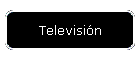 Televisi�n